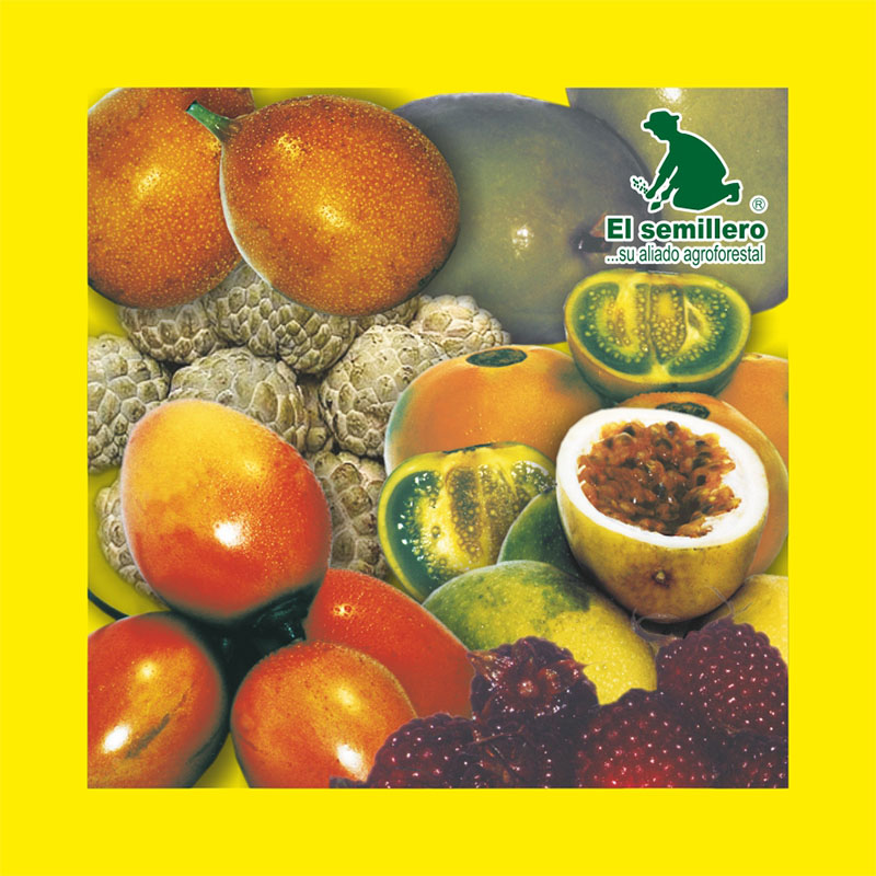Cholupa | Venta de semillas frutales El Semillero